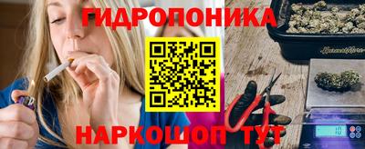 сатива Будённовск