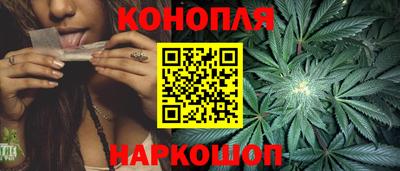 сатива Будённовск